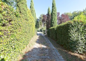 Foto 50 - Villa Podere Le Selvacce, Pitigliano - foto 50