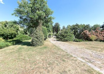 Foto 52 - Villa Podere Le Selvacce, Pitigliano - foto 52