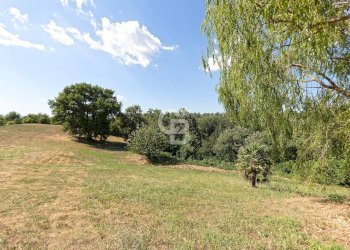 Foto 55 - Villa Podere Le Selvacce, Pitigliano - foto 55