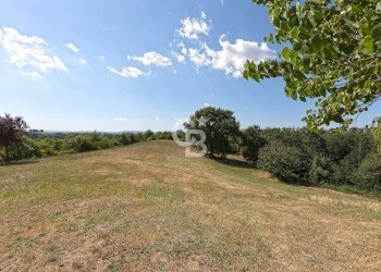 Foto 61 - Villa Podere Le Selvacce, Pitigliano - foto 61