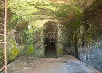 Foto 67 - Villa Podere Le Selvacce, Pitigliano - foto 67