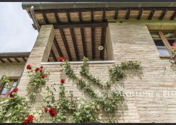 Rustic Montepulciano - photo 5