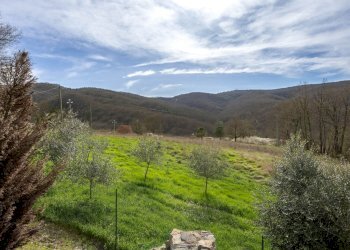 Rustico Passignano sul Trasimeno - foto 47