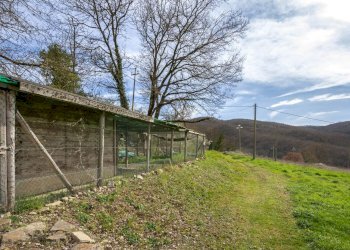 Rustico Passignano sul Trasimeno - foto 48