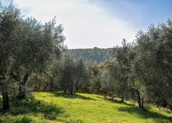 Rustico Località S. Biagio, 12, Città della Pieve - foto 17