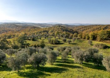 Rustico Località S. Biagio, 12, Città della Pieve - foto 19