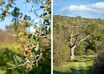 Rustico Località S. Biagio, 12, Città della Pieve - foto 20