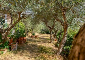 Villa Unifamiliare Sinalunga - foto 20