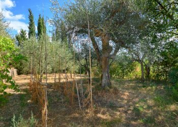 Villa Unifamiliare Sinalunga - foto 21