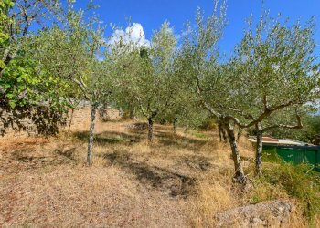 Villa Unifamiliare Sinalunga - foto 22