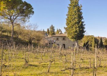 Rustico Via Giacomo Matteotti, 29, Sinalunga - foto 15