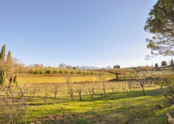 Rustico Via Giacomo Matteotti, 29, Sinalunga - foto 30