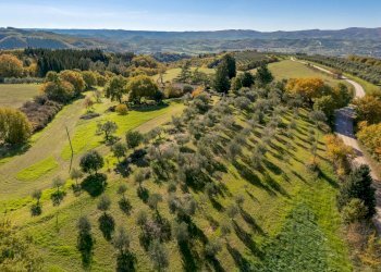 Villa Unifamiliare Monteleone d'Orvieto - foto 10