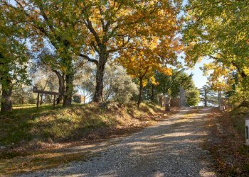 Villa Unifamiliare Monteleone d'Orvieto - foto 31