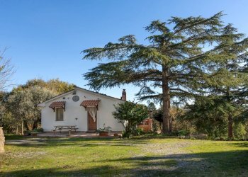 Villa Unifamiliare Monteleone d'Orvieto - foto 32