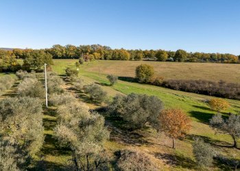 Villa Unifamiliare Monteleone d'Orvieto - foto 40