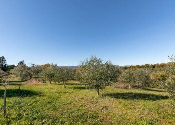 Villa Unifamiliare Monteleone d'Orvieto - foto 43