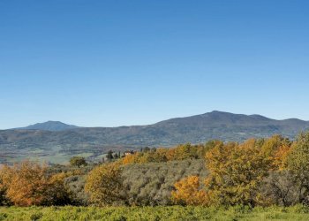 Villa Unifamiliare Monteleone d'Orvieto - foto 45