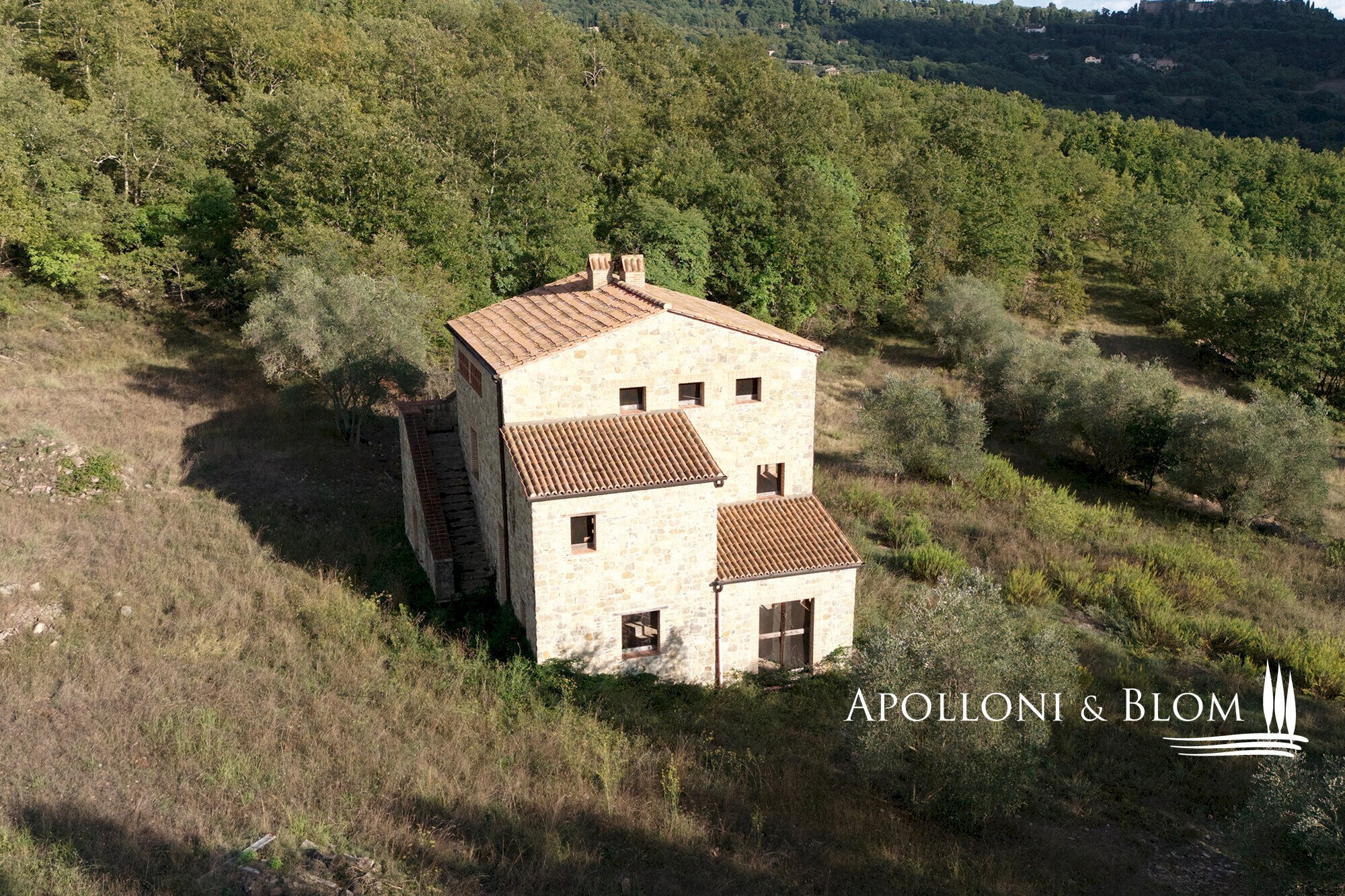 Rustico Parrano - foto 3