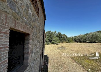 Rustico Parrano - foto 31