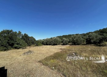 Rustico Parrano - foto 32