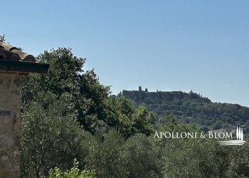 Rustico Parrano - foto 36