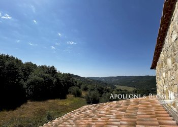 Rustico Parrano - foto 40