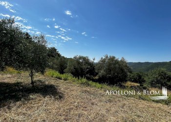 Rustico Parrano - foto 42