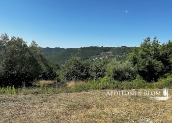 Rustico Parrano - foto 43