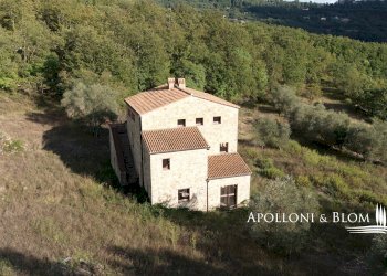 Rustico Parrano - foto 3