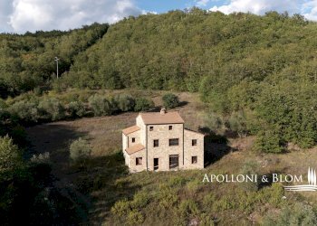 Rustico Parrano - foto 4