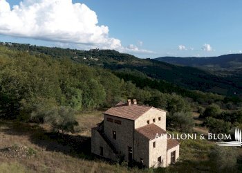Rustico Parrano - foto 5