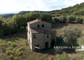 Rustico Parrano - foto 46