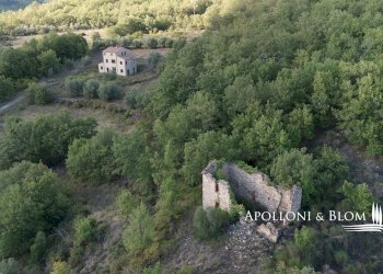 Rustico Parrano - foto 47