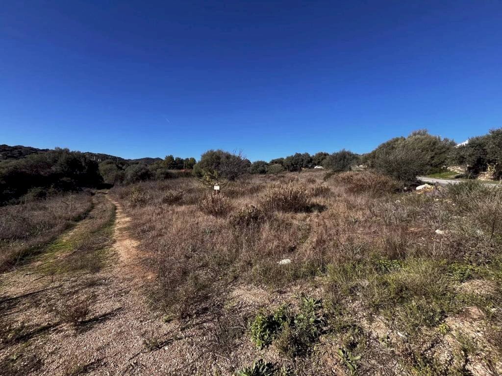 Terreno - Terreno edificabile Budoni - foto 1