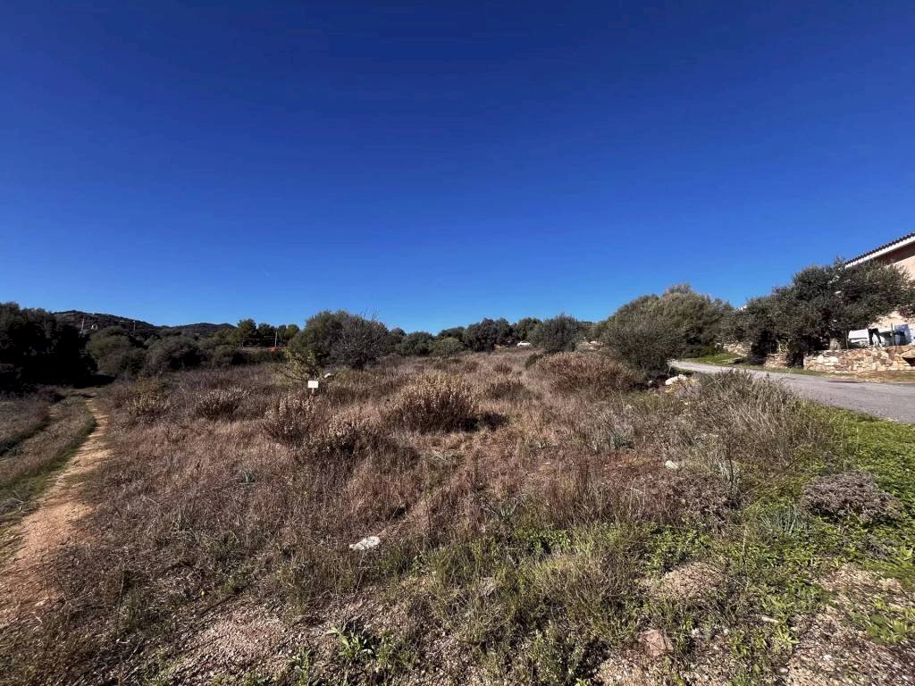 Terreno - Terreno edificabile Budoni - foto 2