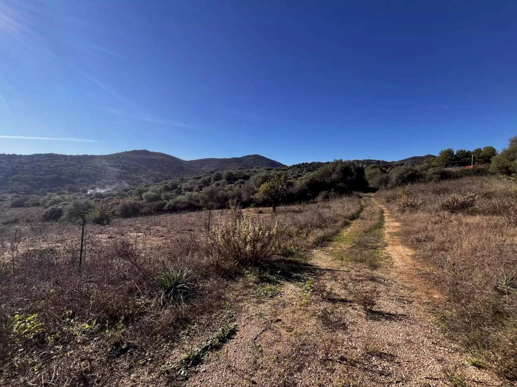 Terreno - Terreno edificabile Budoni - foto 3