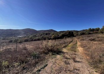 Terreno - Terreno edificabile Budoni - foto 3