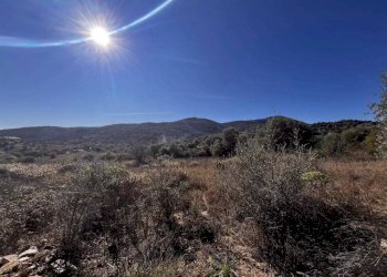 Terreno - Terreno edificabile Budoni - foto 5