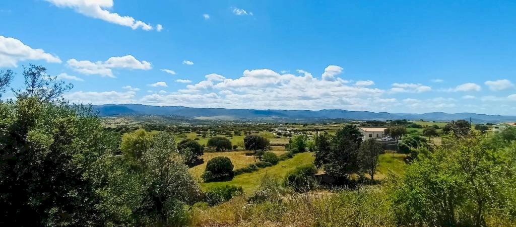 Vista - Terreno agricolo Berchidda - foto 1