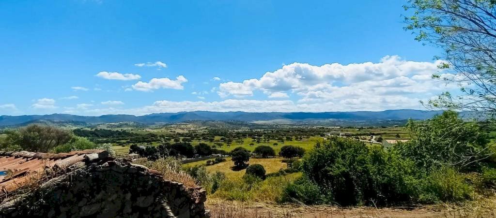 Vista - Terreno agricolo Berchidda - foto 3