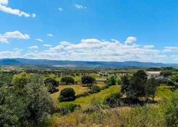 Vista - Terreno agricolo Berchidda - foto 1