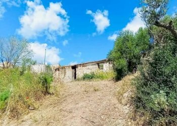 Terreno - Terreno agricolo Berchidda - foto 2