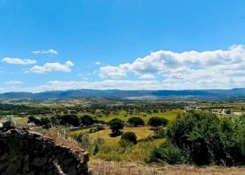 Vista - Terreno agricolo Berchidda - foto 3