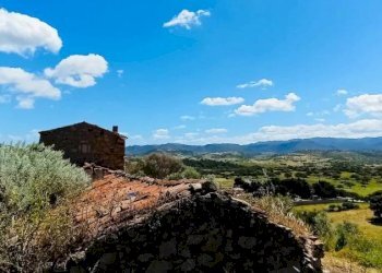 Vista - Terreno agricolo Berchidda - foto 4