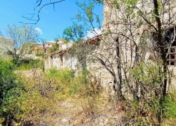 Terreno - Terreno agricolo Berchidda - foto 5