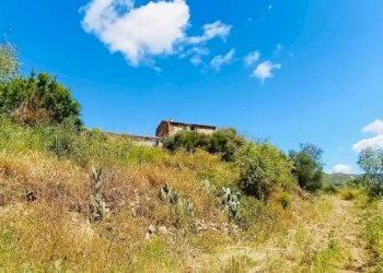 Terreno - Terreno agricolo Berchidda - foto 6