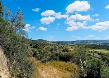 Vista - Terreno agricolo Berchidda - foto 7