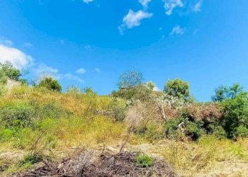 Terreno - Terreno agricolo Berchidda - foto 8