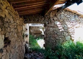 Giardino - Terreno agricolo Berchidda - foto 9